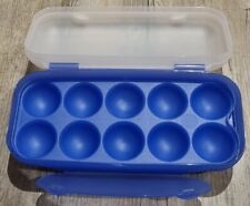 Tupperware 10er eierdose gebraucht kaufen  Geyer, Tannenberg