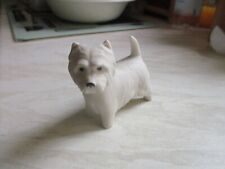 Westie white terrier for sale  SOUTHSEA