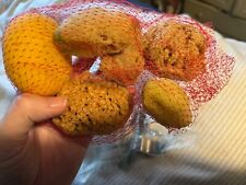 Natural sea sponge for sale  LEDBURY