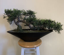 Artificial bonsai pine for sale  West Palm Beach