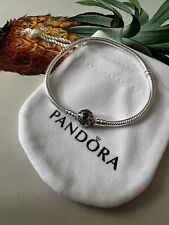 Pandora bracelet aladin for sale  NEWARK