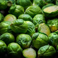 Brussel sprouts bedford for sale  BURTON-ON-TRENT