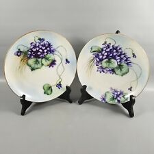 Conjunto de pratos de porcelana vintage antigos Rosenthal Baviera pintados à mão roxo floral, usado comprar usado  Enviando para Brazil