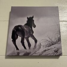 Corrolla horse canvas for sale  Smithfield