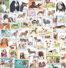 50 diferentes perros temáticos de filatelia en estampillas colección buen surtido segunda mano  Embacar hacia Argentina