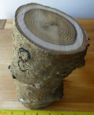 Laburnum. turning carving. for sale  Shipping to Ireland