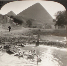 Keystone Stereoview Village & Pyramids of Gizé, Egito Raro 1200 Conjunto de Cartas #780 T1 comprar usado  Enviando para Brazil