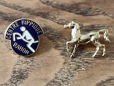 Pins pin cheval d'occasion  Rioz