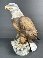 American bald eagle for sale  Clifton