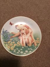 Royal worcester dogs for sale  DOVER