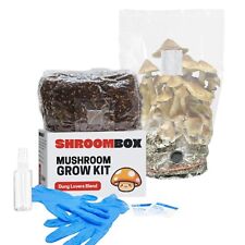 Kit de cultivo de cogumelos All-in-One - Desova de grãos estéreis e sub com porta de injeção! comprar usado  Enviando para Brazil