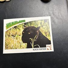 Usado, B30s Wildlife In Danger 1992 WWF World Fund #27 Black Panther Cat África comprar usado  Enviando para Brazil
