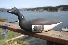 Black brant goose for sale  Lincoln City