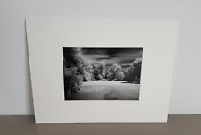 Fotografia infrarosso bianco usato  Carpi