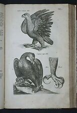 JONSTON & MERIAN,TIERBUCH,SÄUGETIERE & VÖGEL HISTORIAE NATURALIS,2 TEILE,1657 comprar usado  Enviando para Brazil