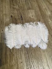 10x ostrich feathers for sale  WOKING