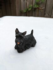 black west highland terrier for sale  DUNFERMLINE