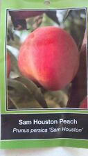 Sam houston peach for sale  Ben Wheeler