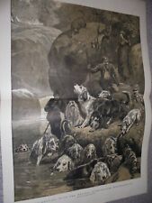 Kendal otter hounds for sale  ILFRACOMBE