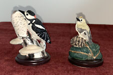 Country bird collection for sale  BRIDGWATER