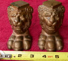 Vintage lion head for sale  USA