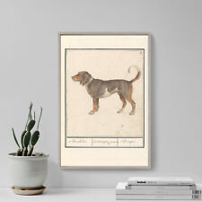 Beagle drawing poster for sale  UK