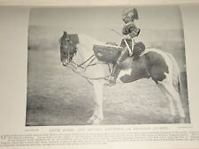 1897 drum horse for sale  YORK