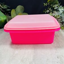 Vintage tupperware neon for sale  Sun Prairie