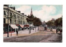 Old postcard mutley for sale  PAIGNTON