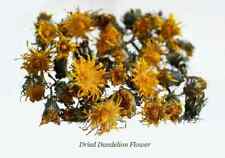 Dried dandelion flower for sale  Meadowlands