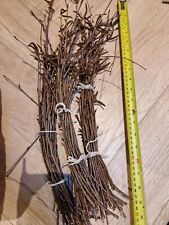 Natural birch branch for sale  ROYSTON