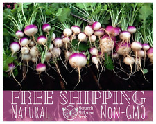 3500 turnip seeds for sale  Davisburg