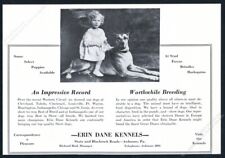 1930 great dane for sale  Denver