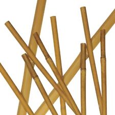 Canne bambu misure usato  Campi Bisenzio