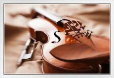 Close beautiful violin for sale  Mount Vernon