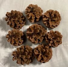 Pine cones craft for sale  Orland Park