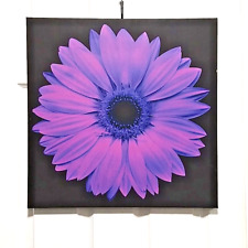 Purple daisy floral for sale  CWMBRAN