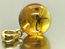 Amber pendant insect for sale  Shipping to Ireland