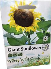 Giant sunflower seed for sale  DARLINGTON
