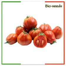 Semi pomodoro pera usato  Italia