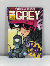 Manga hero grey usato  Favria