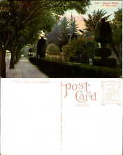 Cypress Hedge w Kalifornii Edward Mitchell pocztówka ok. 1910 topiary na sprzedaż  Wysyłka do Poland