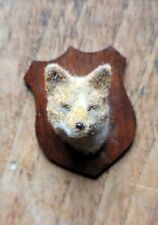 Taxidermy fox head for sale  TODMORDEN