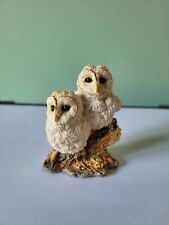 border fine arts owl for sale  WEYMOUTH