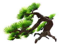 Mini bonsai baum gebraucht kaufen  Deutschland