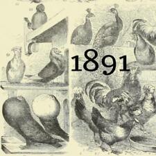 1891 peacock hens for sale  Tonawanda