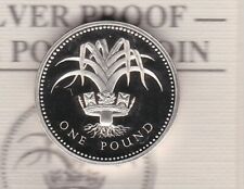 BOXED ROYAL MINT 1985 WELSH LEEK STANDARD SILVER PROOF £1 COIN WITH CERTIFICATE for sale  Shipping to South Africa