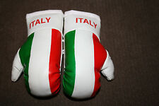 Itália/Italiano Bandeira Mini Ornamento Luvas de Boxe * Novo em folha *, usado comprar usado  Enviando para Brazil