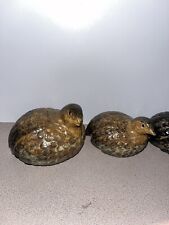 Vintage quail family for sale  Orange