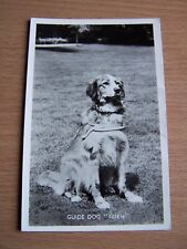 Vintage animal postcard usato  Spedire a Italy